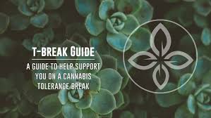 Get a detailed look at weed withdrawal. T Break Take A Cannabis Tolerance Break Center For Health Wellbeing At Uvm The University Of Vermont
