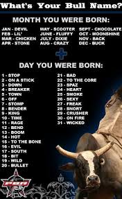 What S Your Bull Name Funny Names Names Name Generator