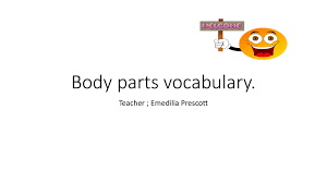 ⬤ pictures of body parts vocabulary with pronunciations. Calameo Body Parts Vocabulary