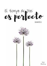 Siempre Es Bueno Recordar Que Todo Pasa Cuando Tiene Que Pasar Ni Antes Ni Despues El Tiempo De Dios Es Pe Frases Cristianas Frases De Bendiciones Cristianos