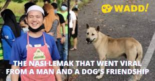 Cheese lobster with spicy sambal that gives a boost, best of both worlds. Wadd The Nasi Lemak Stall That Went Viral From A Friendship Between Man And A Dog