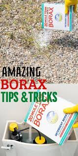Here Is 15 Bizzarre Ways You Can Use Borax To Clean And Just Do Some Random Things Both In And Outside O Borax Cleaning Household Cleaning Tips Household Hacks