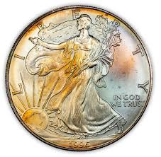 Image result for Grey 1996 CIL