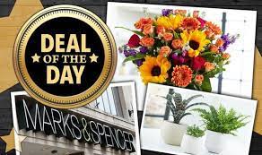 Discover our wide selection of gorgeous flowers today Marks And Spencer Slash 15 Percent Off Flowers And Plants With Code Express Co Uk