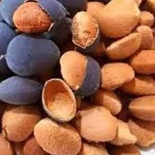 Image result for Dialium guineense