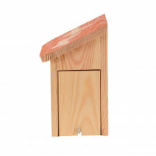 How to build a butterfly house. Butterfly House With Coloured Roof With Butterfly Silhouette Ed W