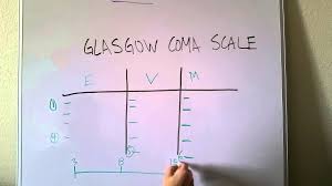 Glasgow Coma Scale Made Easy