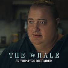 @TheWhaleMov's video Tweet
