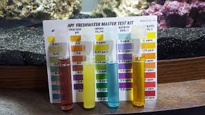 Water test and cycle. Is it to soon?