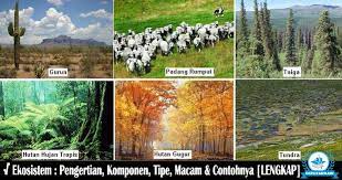 Komponen Ekosistem Pengertian Tipe Macam Contohnya