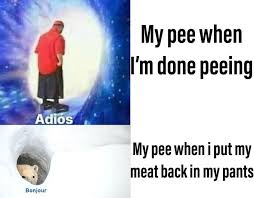 Supongo que mejor será decir adiós. 15 Hilarious Adios Wormhole And Bonjour Bear Crossover Memes Know Your Meme