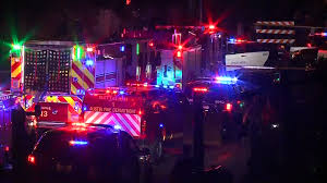 And which has become the dominant strain in california and. Hszvtykyb1q8wm