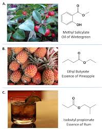 Ch105 Chapter 9 Organic Compounds Of Oxygen Chemistry