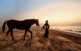 Ideal for any project that requires arabia, arabian, atlantis. Wallpaper Sunset Horse Beach Silhouette Dubai Uae Arab Arabianhorse Abaya Emirati 1024x643 1014095 Hd Wallpapers Wallhere