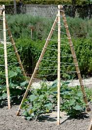 Epingle Sur Horticulture