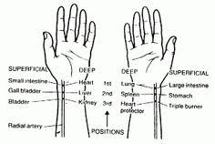 25 Best Pulse Images Chinese Medicine Acupuncture