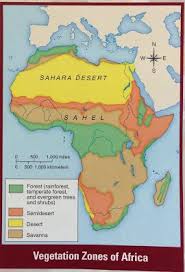This is an online quiz called vegetation zones of africa. West Africa West Africa The Empires Strike Back Day Learning Activities Independent Work 1 Define West Africa Terms West Africa Unit Page Use Holt Ch 5 And 6 To Decorate The Unit Page Begin Kim Terms West Africa Unit Page 2 Geography Challenge