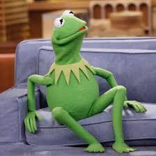 Confused Kermit Confused Kermit Twitter