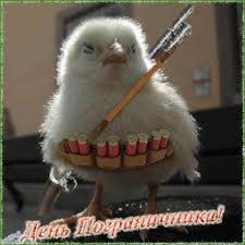 Желаю, чтобы на границе службу несли такие герои, как ты. Den Pogranichnika S Dnem Pogranichnika Prikolnaya Otkrytka Na Den Pogranichnika