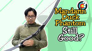It is closely related to the north american wood duck, the only other member of the genus aix. Is The Mandarin Duck Phantom Still Good Youtube