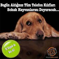 hayvanlari koruma gununde sokak hayvanlarina katkida bulunmak ister misiniz bugun web sitemizden satin alacaginiz telefon kiliflari ile hayvan alintilar sokak