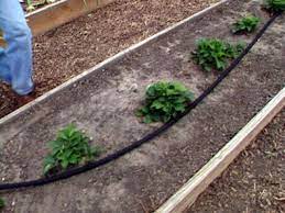 Stick around until the very end to see a quick garden tour :) How To Install Soaker Hose Irrigation System How Tos Diy