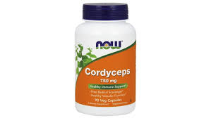 Best Mushroom Supplements: Which Products to Buy