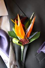 Img 3752 Jpg Jpeg Image 1067x1600 Pixels Scaled 35 Bird Of Paradise Wedding Spring Wedding Flowers Tropical Wedding Flowers