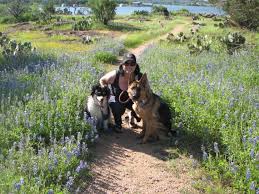We did not find results for: Wimberley Pet Sitting