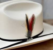 100X Chaparral (3" Brim) Cowboy Hat by Tombstone Hats