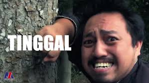 MAXIM, Perkhidmatan e-Panggilan e-Hailing