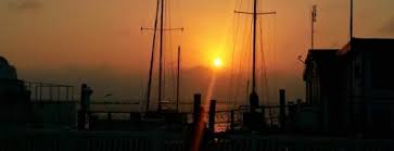 We did not find results for: The 15 Best Places For Fish Tacos In Corpus Christi