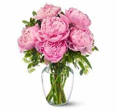 The search engine that helps you find exactly what you're looking for. Peonies In Pink Delivery Irving Tx Available Delivery