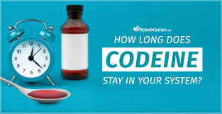 How Long Does Fioricet Stay In Your System? Urine, Blood, Saliva, Hair -  Lighthouse Treatment Center