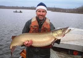 Maybe you would like to learn more about one of these? Pennsylvania Is On A Mission To Build Bigger Muskies Pittsburgh Post Gazette