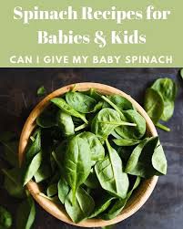 Spinach Recipes For Babies Kids With Information On When And How To Introduce Spinach For Baby P Indian Food Recipes Baby Food Recipes Cooking For Beginners