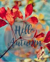 We did not find results for: Hello Autumn Wallpapers Wallpaper Cave