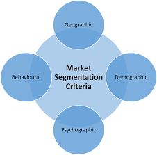 Symphysis The Importance Of Market Segmentation As A