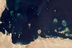 The body of water is an extension of the arabian sea through the strait of hormuz a. Coral Reefs In The Persian Gulf