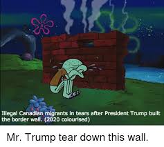 Illegal Canadian Migrants In Tears After President Trump Built The Border Wall 2020 Colourised Spongebob Meme On Me Me