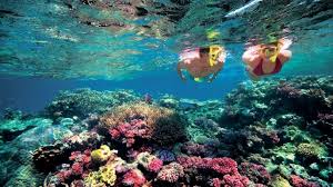 Resultado de imagen para Australia