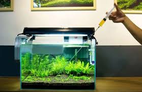 Aquascapers do their best to avoid symmetry. Different Fertilizing Methods Used In Aquascaping