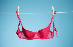 How To Wash Bras And How Often Should You Do It