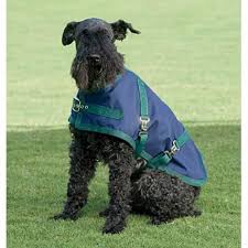 You can also choose from nylon. Rider S International By Dover Saddlery Dog Turnout Sheet Dover Saddlery