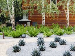 Avoid spraying herbicide within 20 yards of plants that are endangered. Our Guide To Cactus Gardening Basics Sunset Magazine Succulent Landscaping Desert Landscaping Succulent Landscape Design