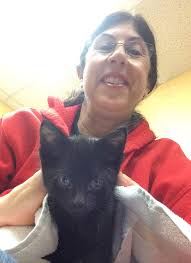 SARA Teacher Articles Archives