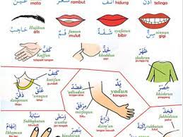 Tulisan tentang 21 contoh mukadimah dalam bahasa arab dan indonesia beserta latinnya (lengkap) yang dijelaskan secara terperinci oleh dutadakwah. Kumpulan Kosa Kata Bahasa Arab Anggota Tubuh Dari Kata Kepala Sampai Kaki