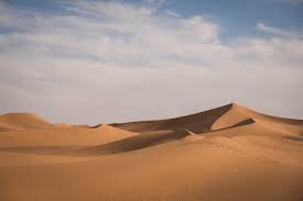 Browse 635 chihuahua desert stock photos and images available, or search for tarahumara or chihuahua mexico to find more great stock photos and pictures. Extreme Environments Farming In The Sahara Desert By Danny Age Of Awareness Medium