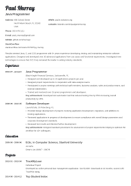 programmer resume examples (template