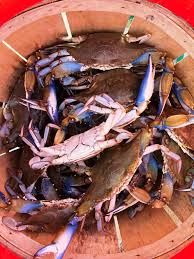(his annual blue crab fest at the original hungry cat is a must every summer.) and he knows how crucial freshness is. Tatum Return To The River Wye In Quest Of Crabs Sports Dailylocal Com
